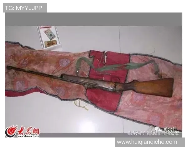 亚特兰大未成年少年持枪行凶事件：背后的真相与反思